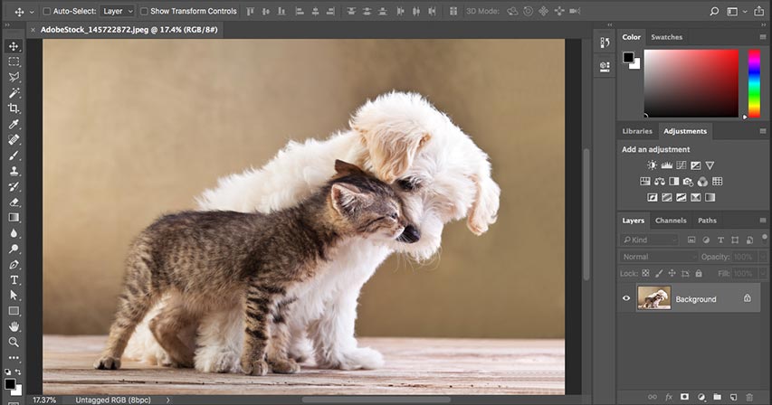 photoshop
