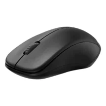 Rapoo 1620 Wireless Mouse